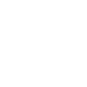 Agostini Firenze
